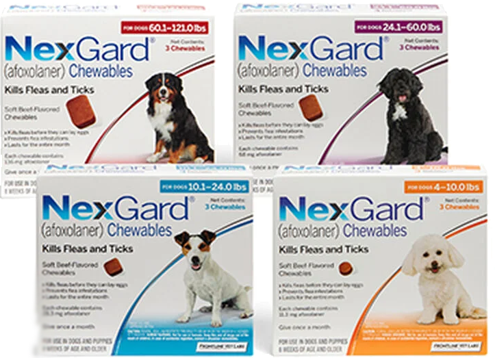 Nexgard® Flea & Tick Control for Dogs